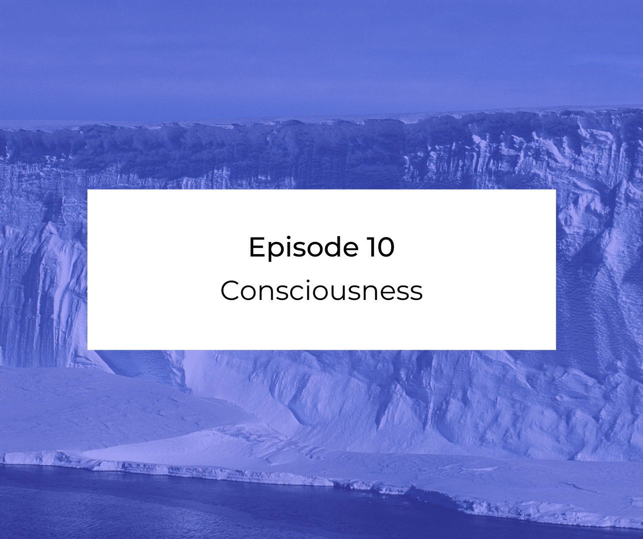 Episode 10: Consciousness