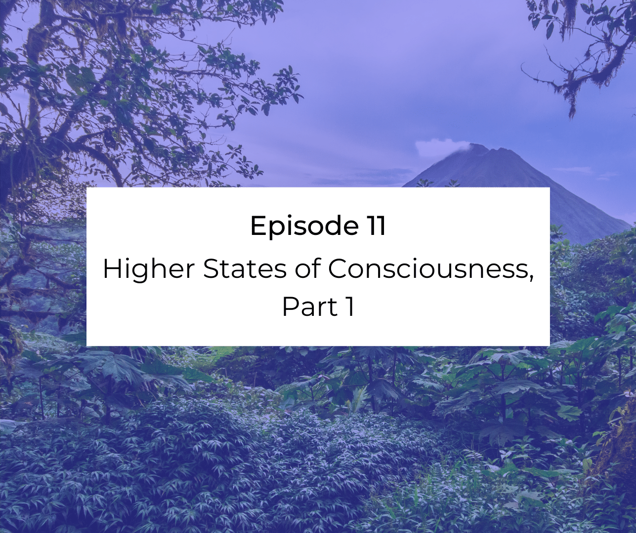 Episode 11: Higher States of Consciousness, Part 1