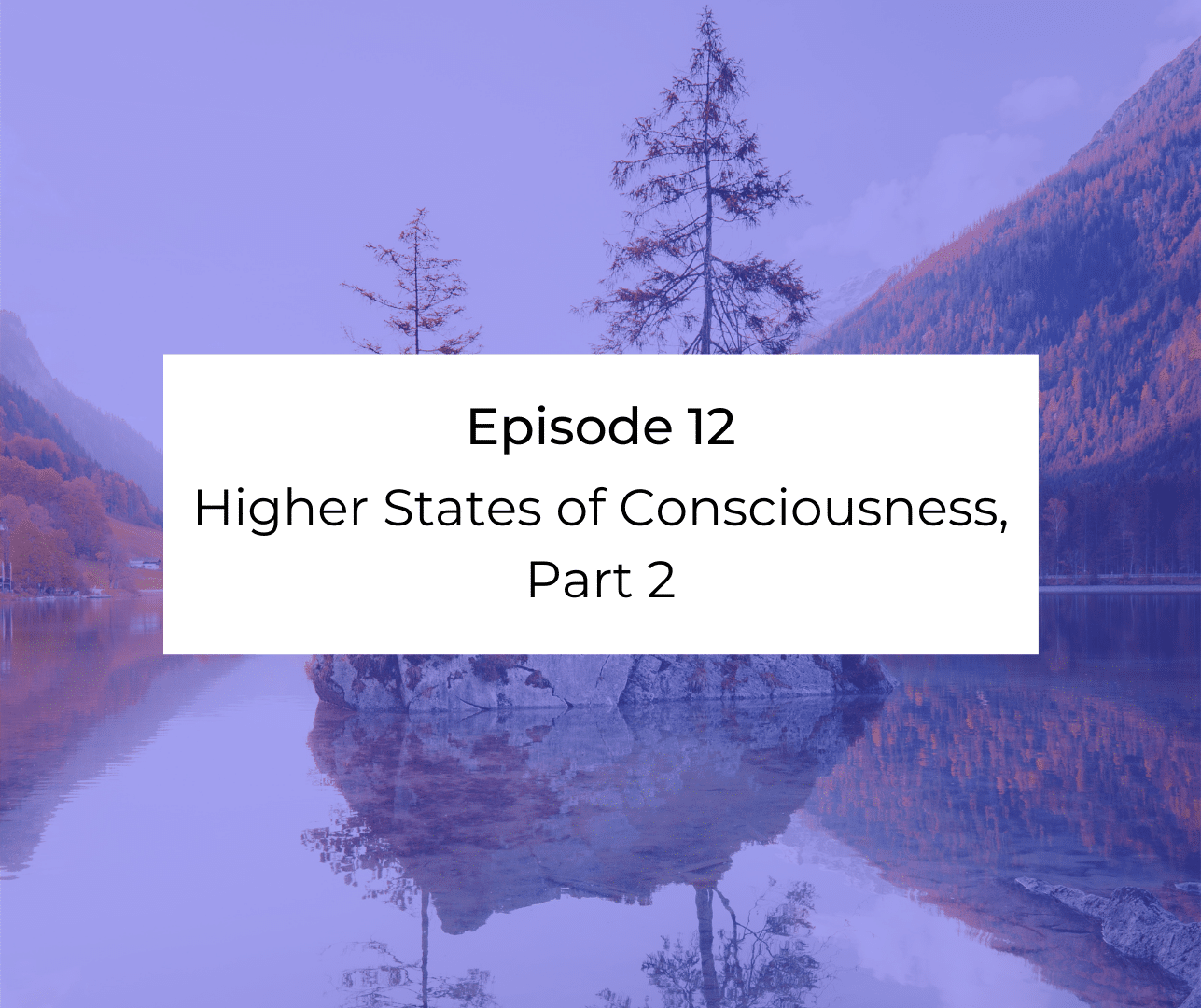 Episode 12: Awakening from the Meaning Crisis - Higher States of Consciousness, Part 2