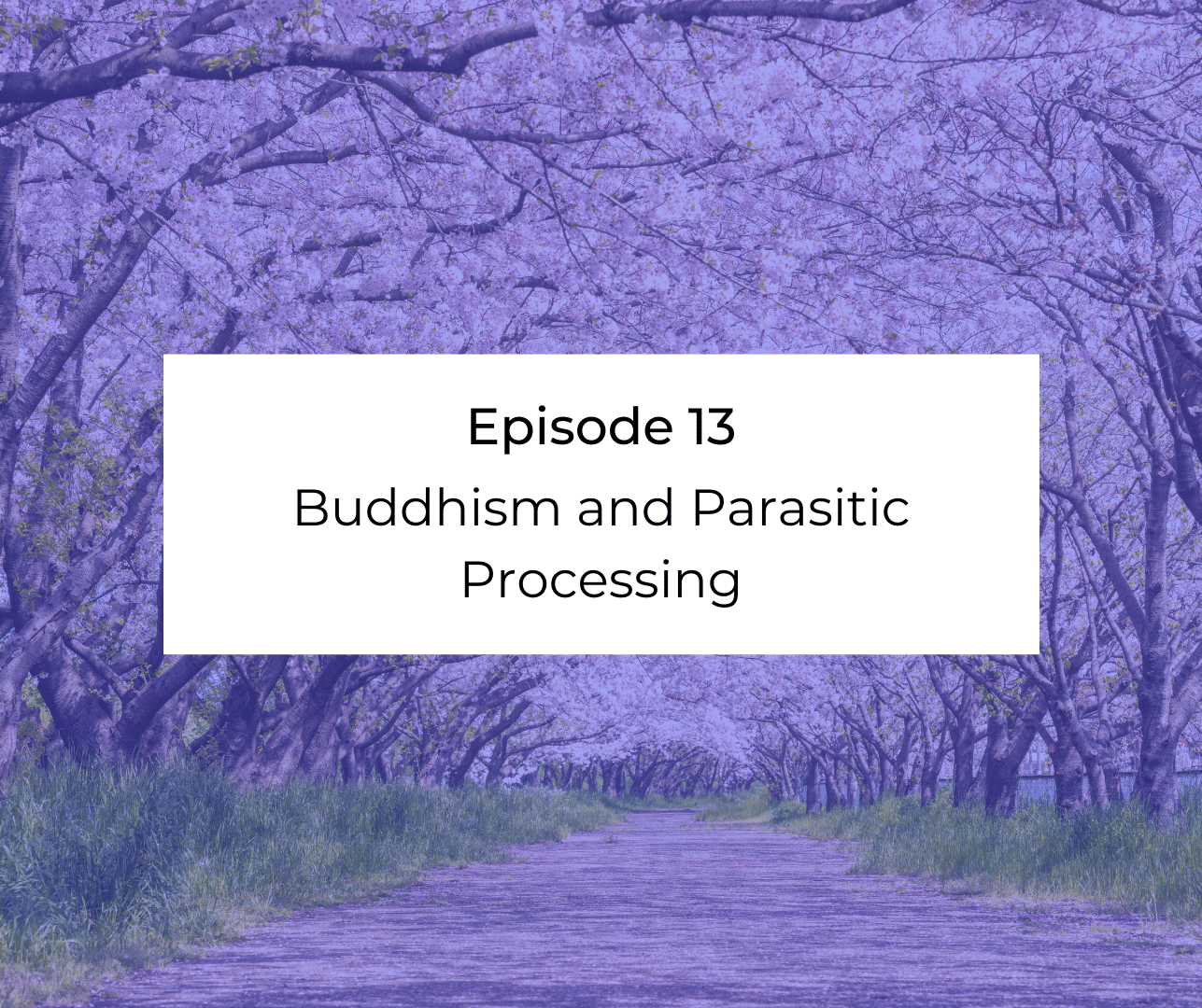 Episode 13: Awakening from the Meaning Crisis - Buddhism and Parasitic Processing