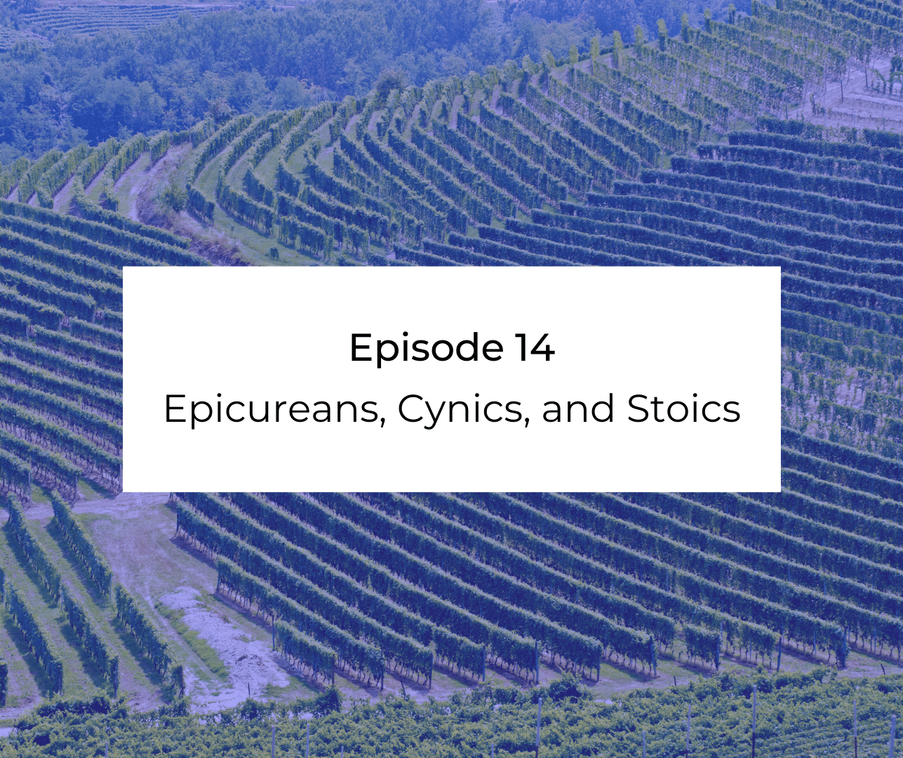 Episode 14: Awakening from the Meaning Crisis - Epicureans, Cynics, and Stoics