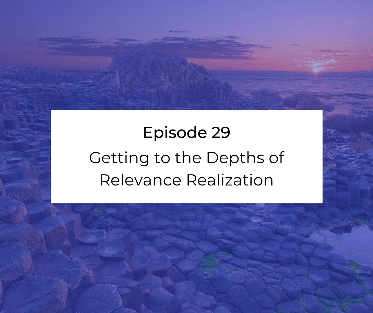Episode 29: Awakening from the Meaning Crisis - Getting to the Depths of Relevance Realization