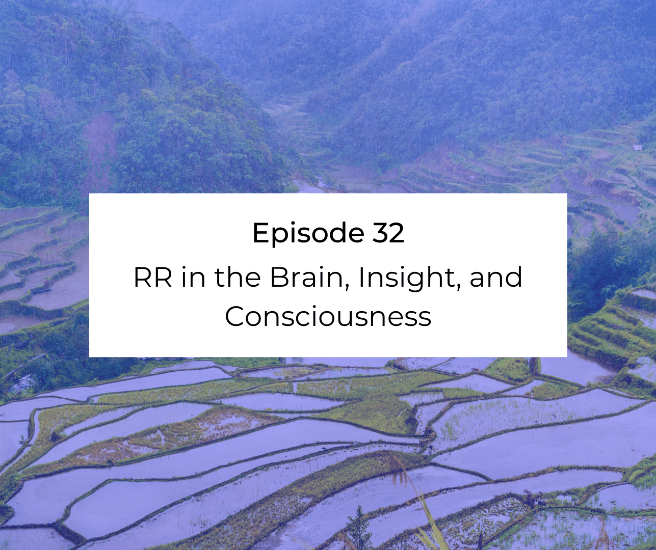 Episode 32: Awakening from the Meaning Crisis - RR in the Brain, Insight, and Consciousness
