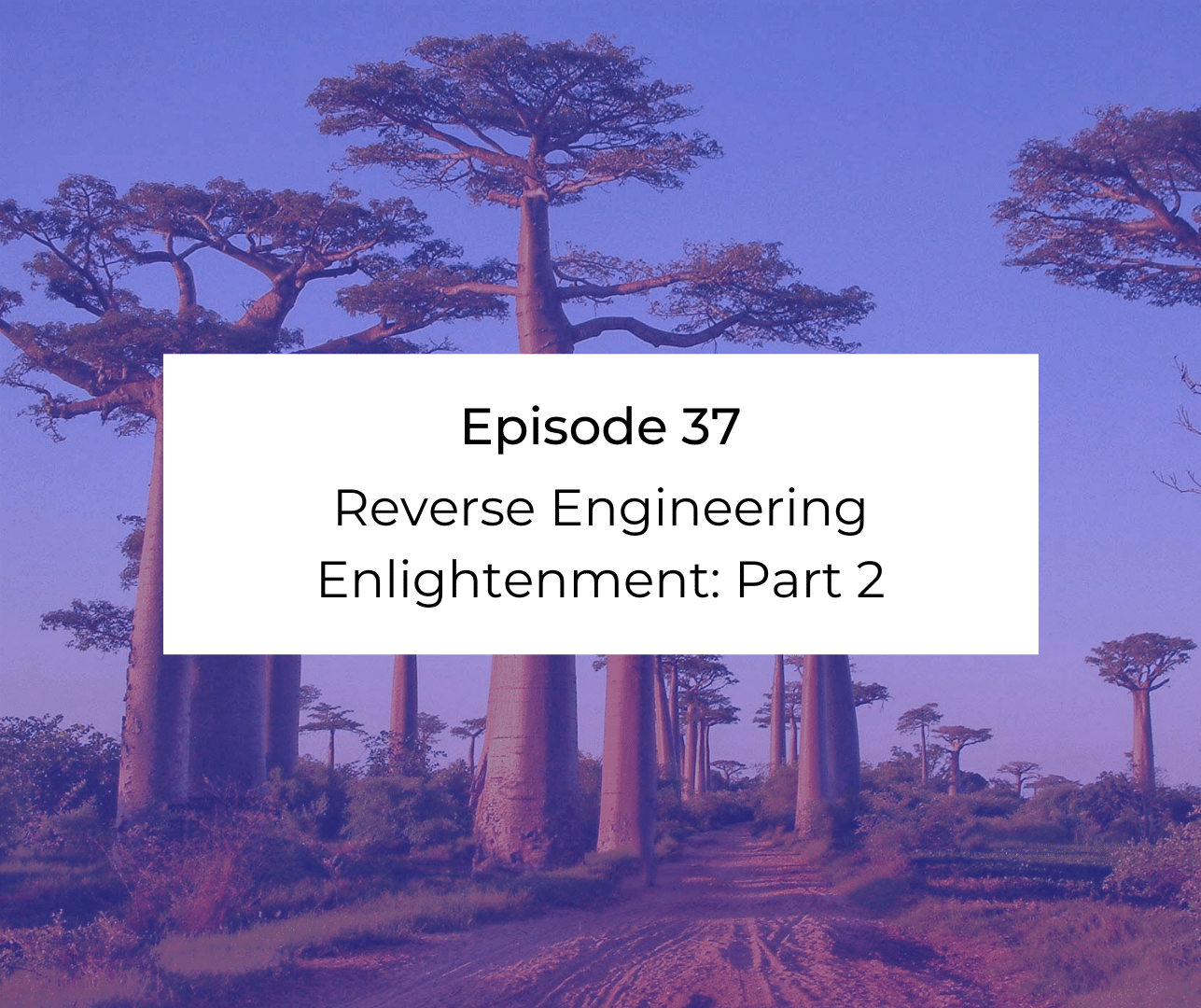 Episode 37 – Awakening from the Meaning Crisis – Reverse Engineering Enlightenment: Part 2