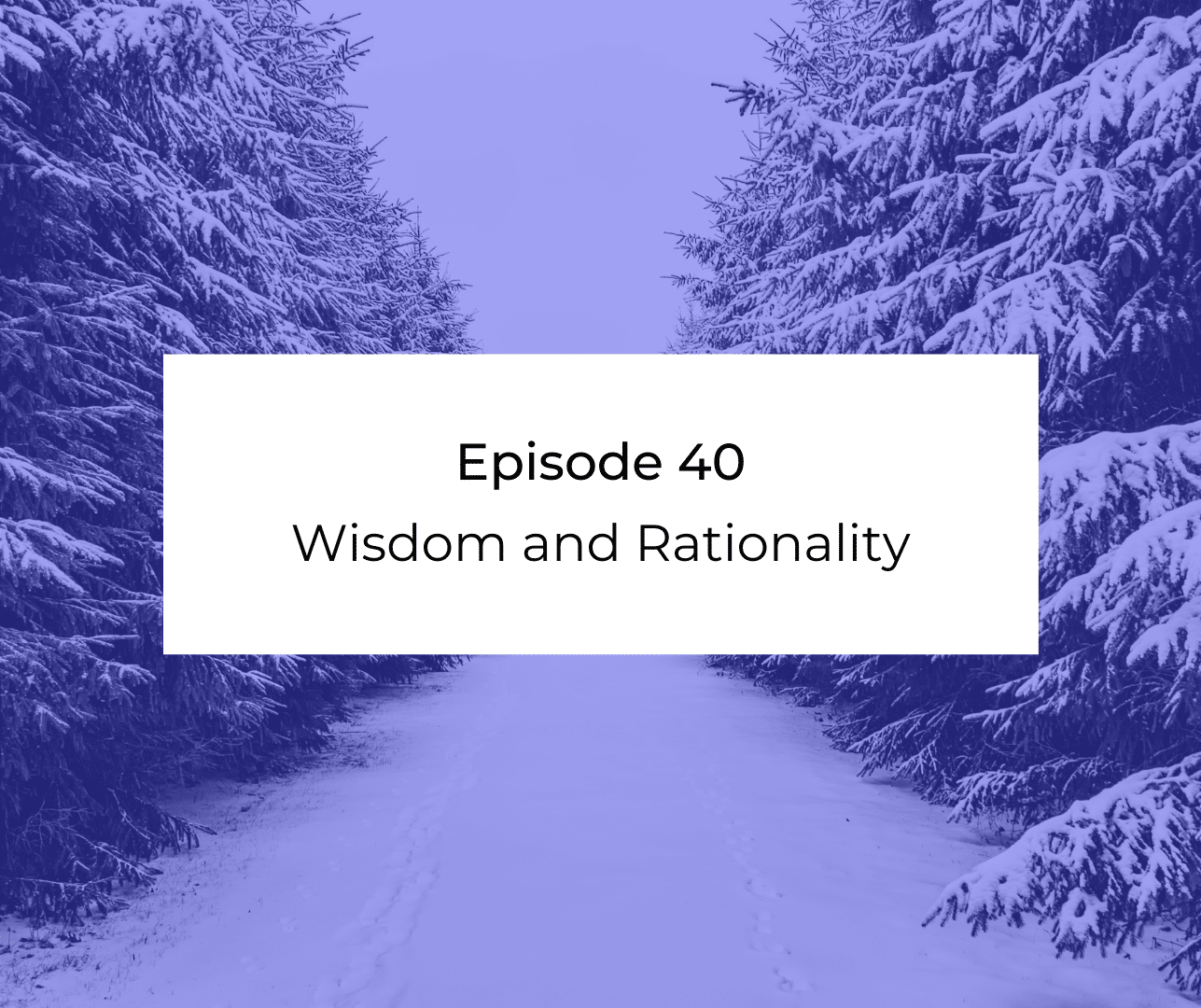 Episode 40: Awakening from the Meaning Crisis - Wisdom and Rationality