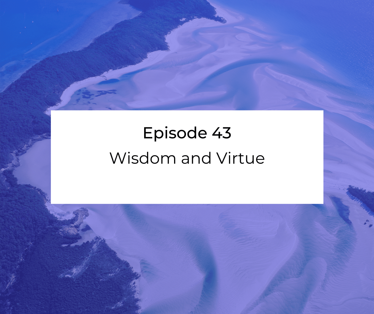 Episode 43: Awakening from the Meaning Crisis - Wisdom and Virtue