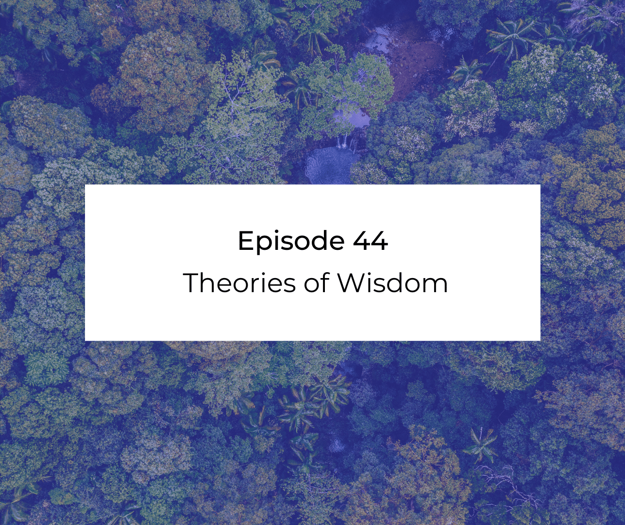 Episode 44: Awakening from the Meaning Crisis - Theories of Wisdom