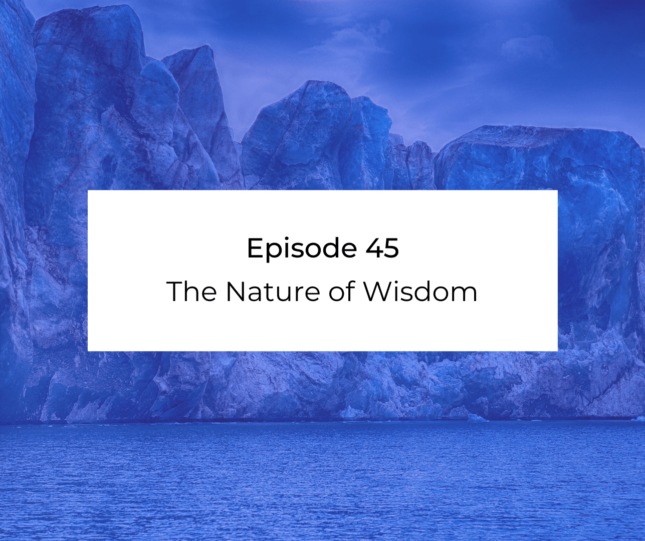 Episode 45: Awakening from the Meaning Crisis - The Nature of Wisdom