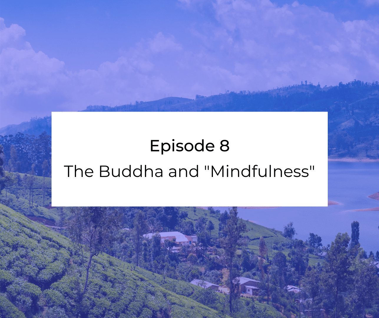 Episode 8: The Buddha and "Mindfulness"