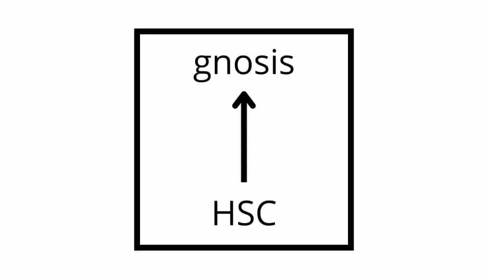 Fig. 1b